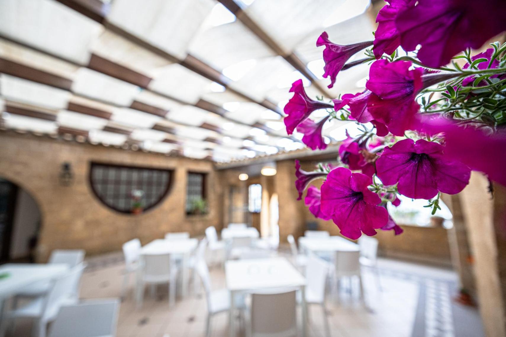 La Rosa Hotel - Selinunte Marinella di Selinunte Esterno foto